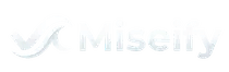 miseify form 2 miseify form 2